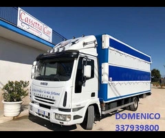 IVECO  EUROCARGO 75E15 TRASPORTO CAVALLI-ANIMALI VIVI